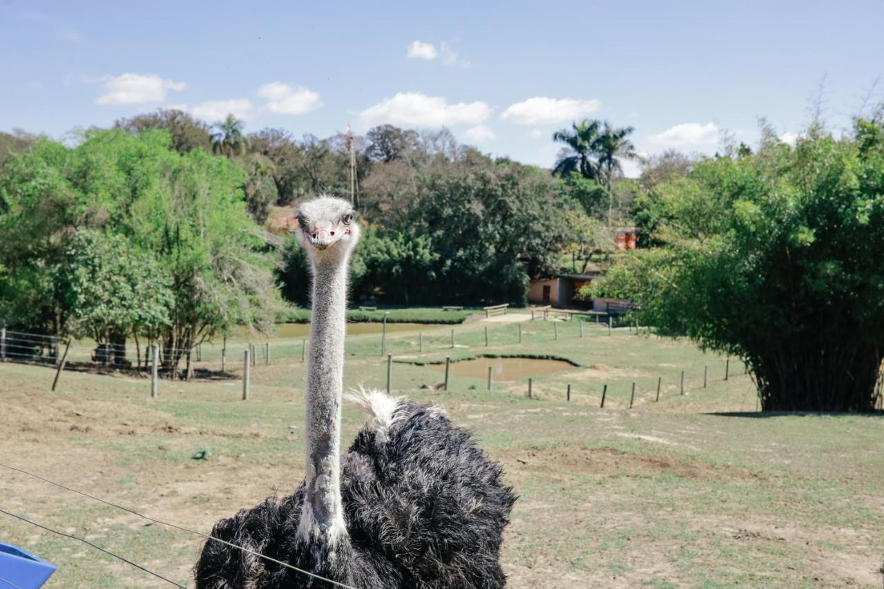 Hotel Fazenda Ararita Pôrto Feliz 外观 照片
