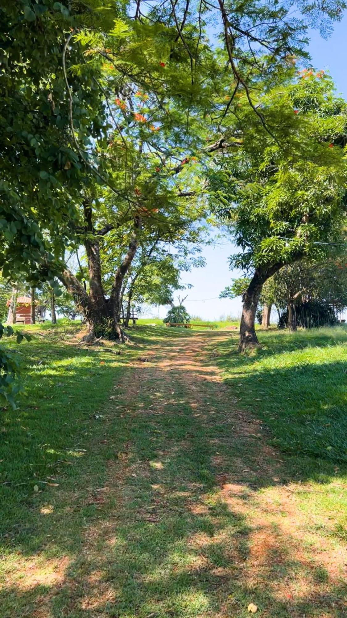 Hotel Fazenda Ararita Pôrto Feliz 外观 照片