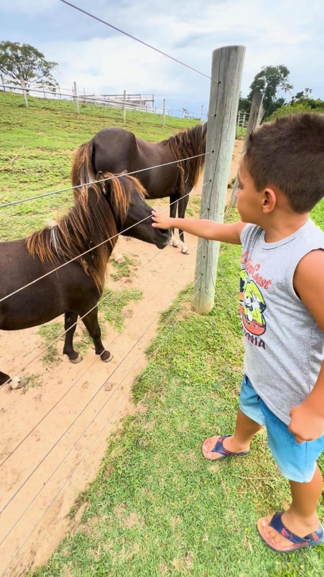 Hotel Fazenda Ararita Pôrto Feliz 外观 照片